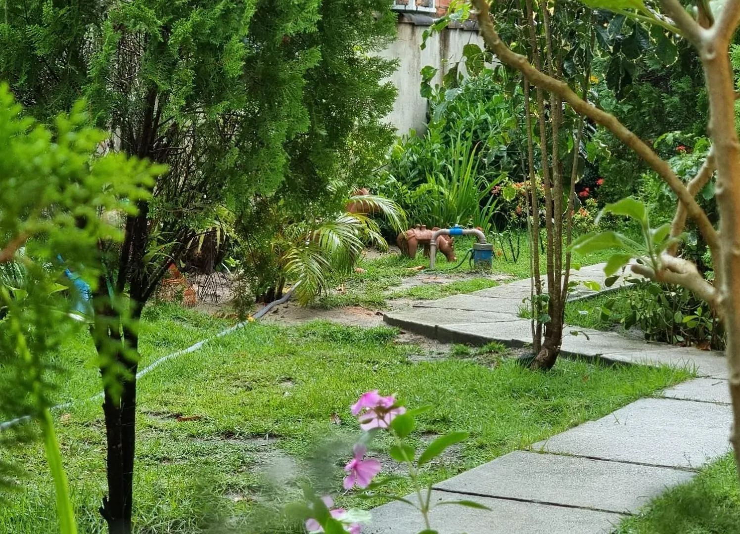 別荘 Condominio Arco Iris- Arraial D'Ajuda Casa 1 ポルトセグロ ブラジル